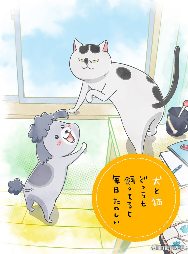 Весёлые дни с кошкой и собакой