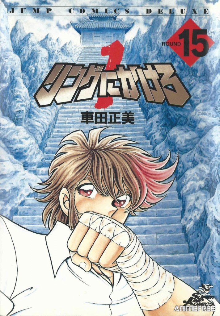 Состязание на ринге 1