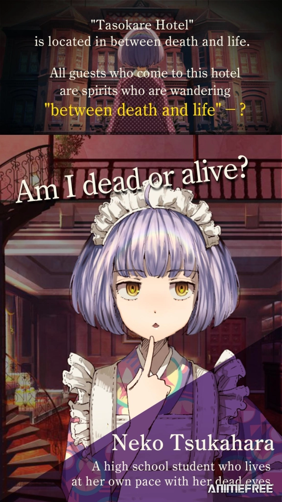 Отель «Тасокарэ»